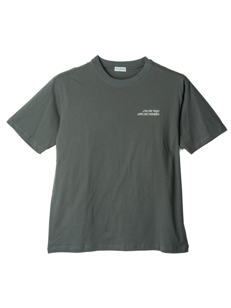 【ルイシャブロン】レースアップリケ半袖Ｔシャツ